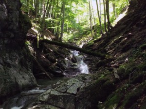 Canyoning Fallenbach Juli 2011 - 05