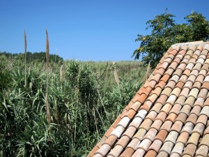 Sicht aus dem Fenster von Susak 631 Richtung Südwesten