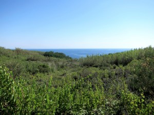 Sicht auf dem Weg zum Meer