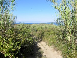 Sicht auf dem Weg zum Meer