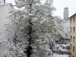 Schnee in Wipkingen - 1