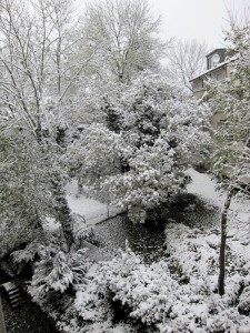 Schnee in Wipkingen - 3