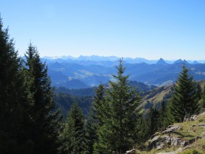 Besteigung des Gross Aubrig