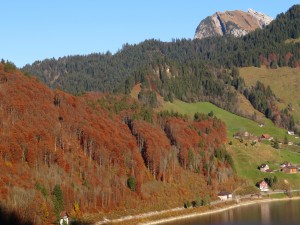 Besteigung des Gross Aubrig