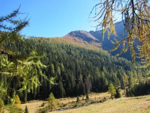 Wanderung zur Hütte 'Capanna Campo Tencia'