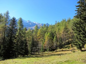 Wanderung zur Hütte 'Capanna Campo Tencia'