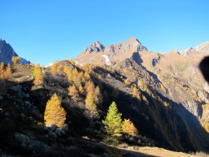 Wanderung zur Hütte 'Capanna Campo Tencia'